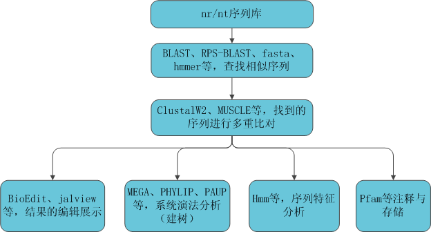 MSA:多重比对序列的格式及其应用-CSDN博客