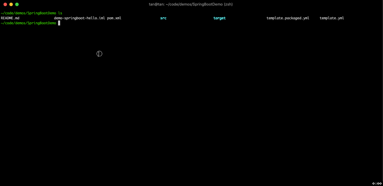 fun init可以进行项目的初始化:funinit-n springbootdemo执行完毕,会