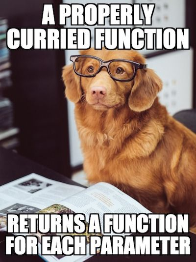 dog-properly-currying-a-function-1