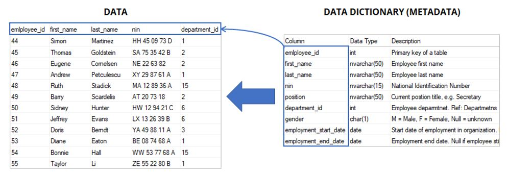 What Is A Data Dictionary And What Is Its Purpose