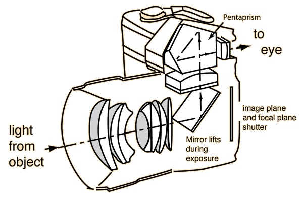 slr1文法_SLR的完整形式是什么？