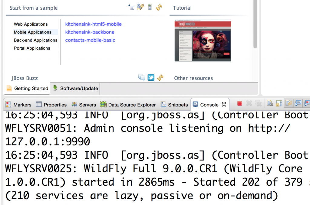 wildfly9cr1-eclipse-console-1024x678