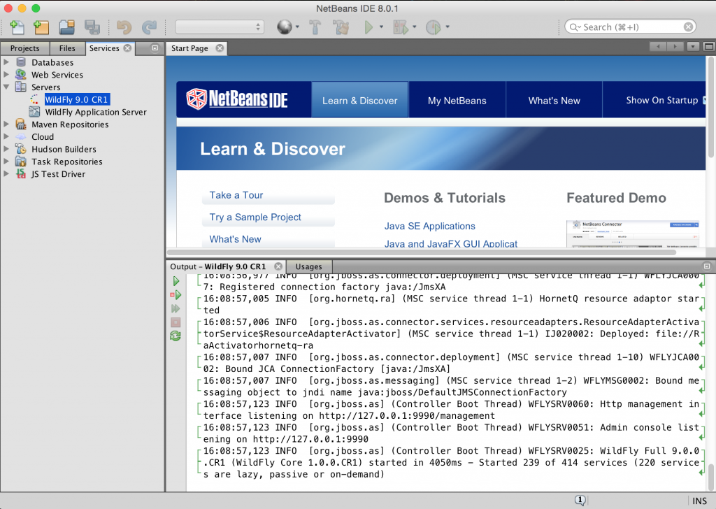 wildfly9cr1-netbeans801