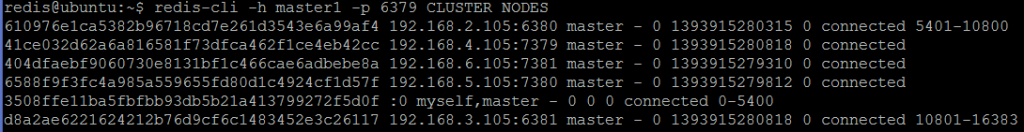 图9. CLUSTER NODES将所有六个节点显示为主节点。