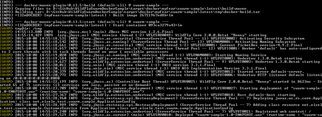 Docker容器中的WildFly Swarm JAX-RS微服务