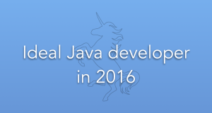 Ideal-java-Developer-2016