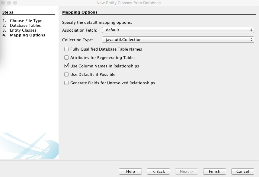 图4：实体类映射选项
