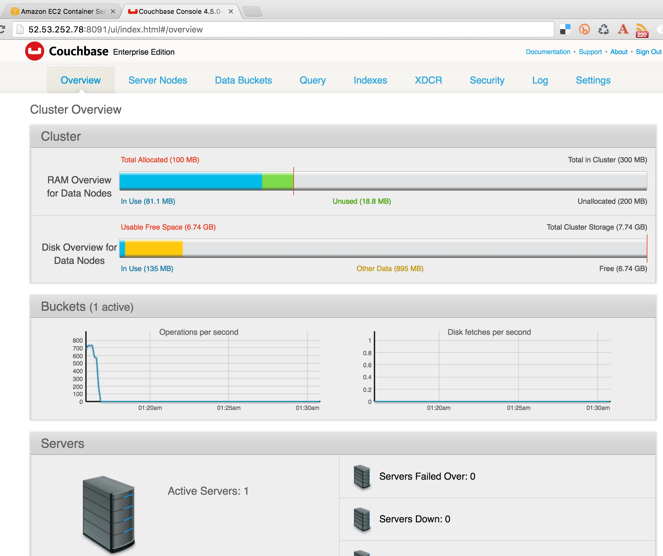 aws-ec2-container-11