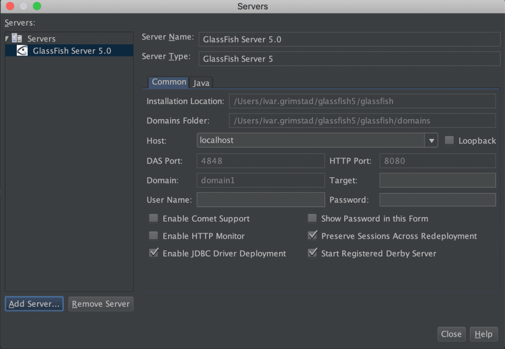 带有NetBeans 10的Java EE