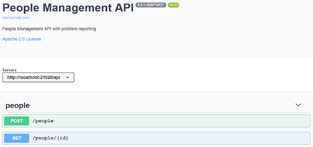 Web API错误