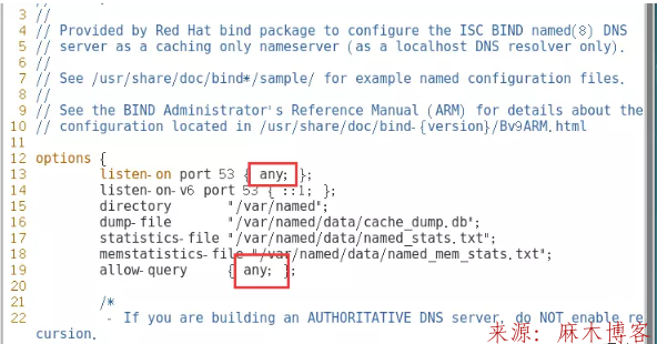 Linux安装BIND服务及配置主/从DNS服务器/缓存服务器第18张-麻木博客