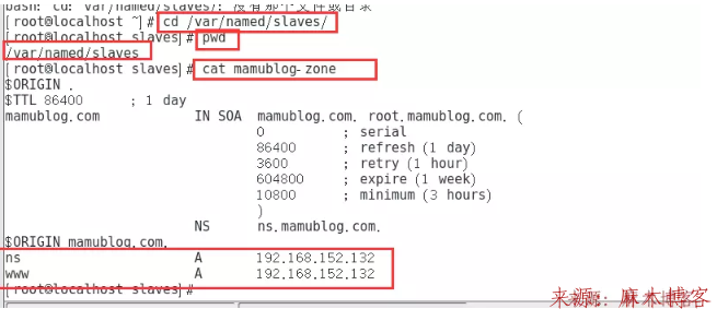 Linux安装BIND服务及配置主/从DNS服务器/缓存服务器第25张-麻木博客