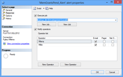 SQL Server alerting properties - configuring SQL Server job and notification on alert firing