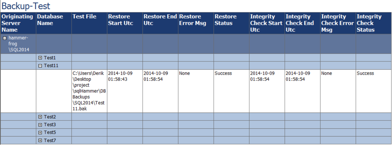 Backup-Test report preview