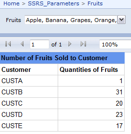 SSRS Representation of our business case