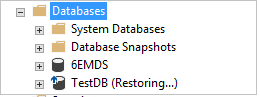 AG database state as Restoring 