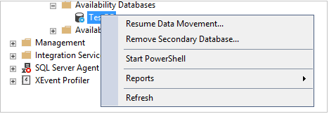 Remove Secondary Database