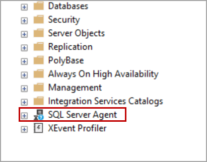 Agent XP enabled in SQL Server on new docker container