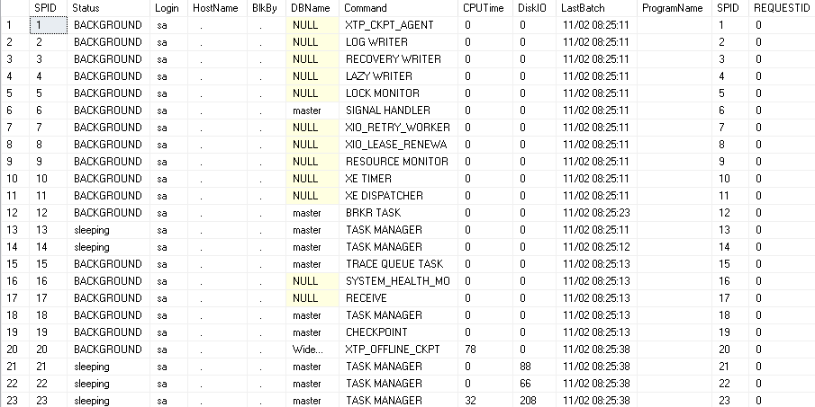 output of the sp_who2 