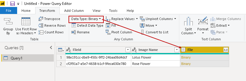 Data type as Binary