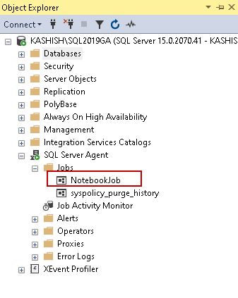 SQL Server Agent in the SSMS