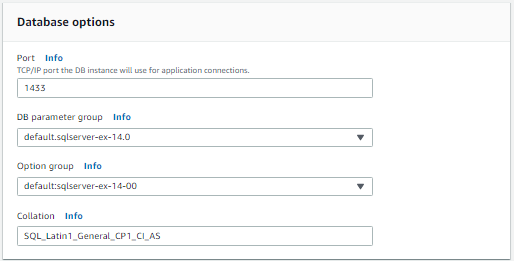 AWS RDS Database Options Pane