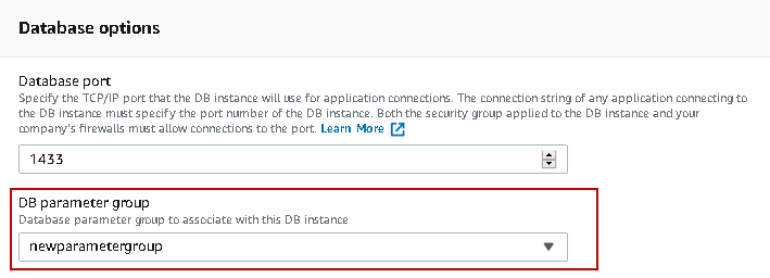 Apply new DB parameter group in RDS