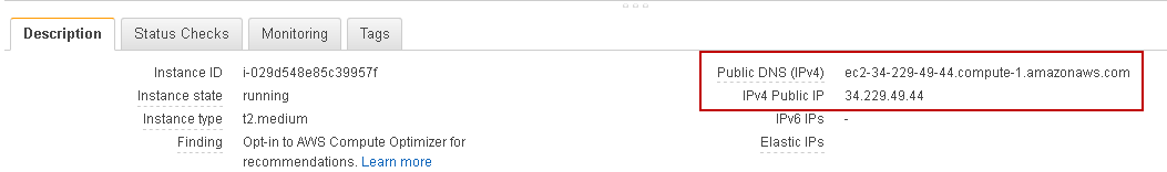 Note down public IP or Public DNS 