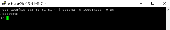 Connection using SQLCMD command line tool