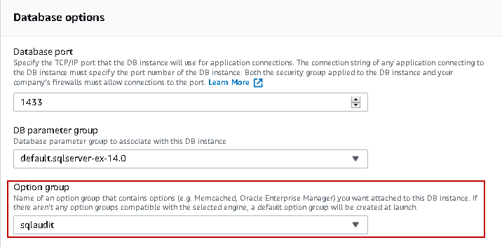 Database Options