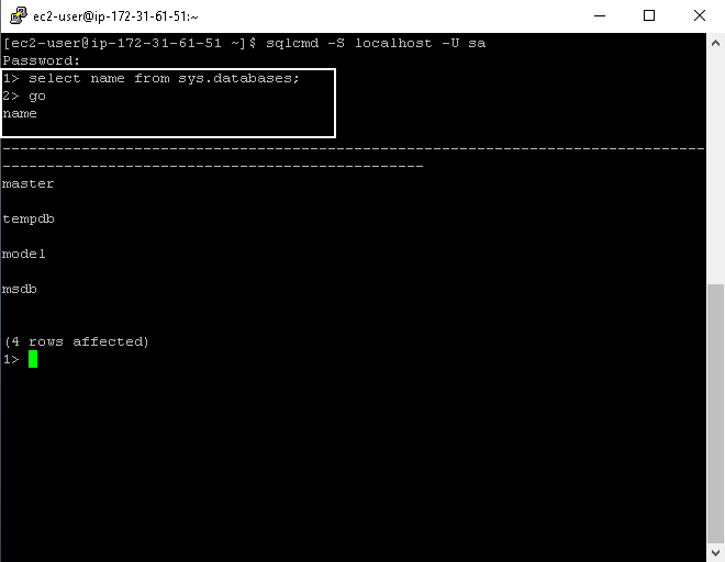 Execute query using SQLCMD