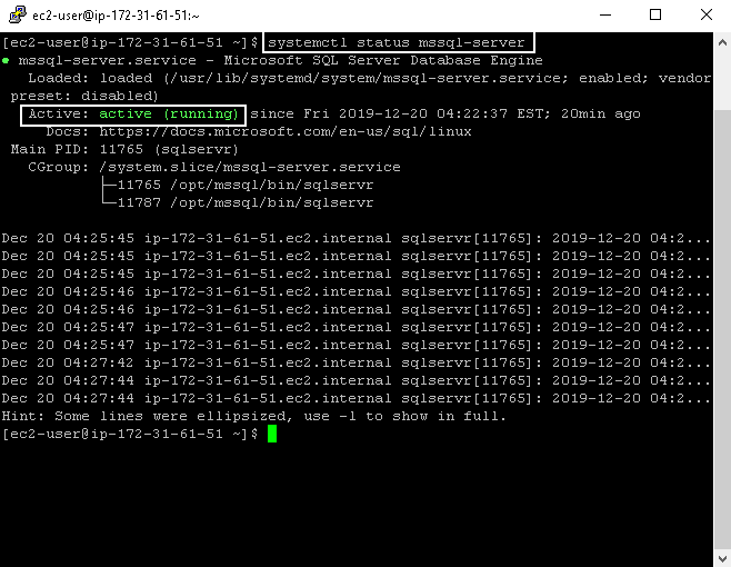 SQL Service status