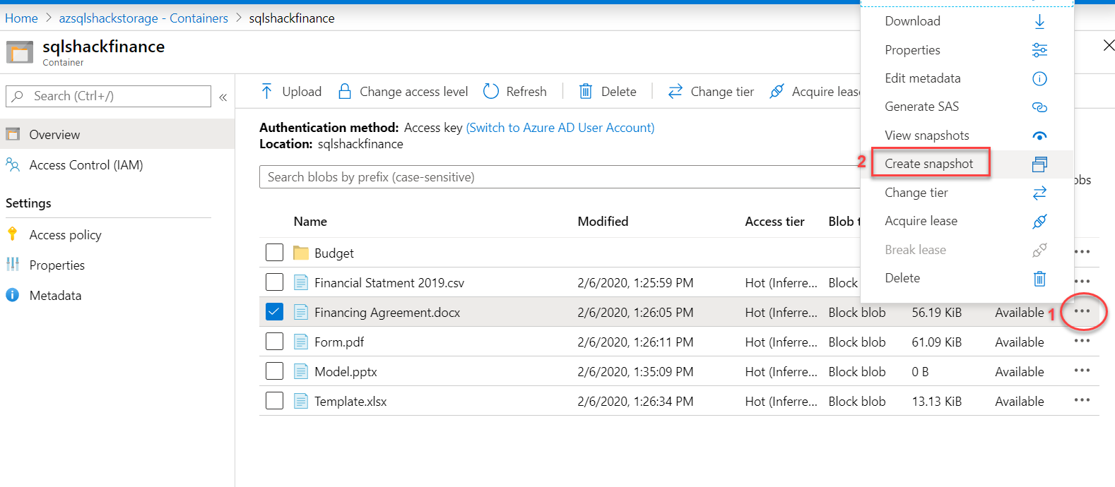 Creating blob snapshots 