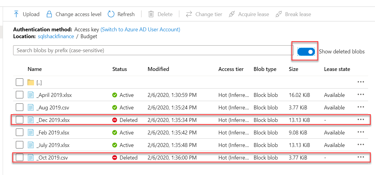 Viewing the deleted blobs.