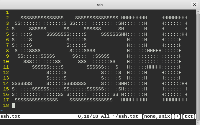 ssh-terminal.png