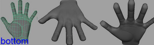 modelling_a_hand