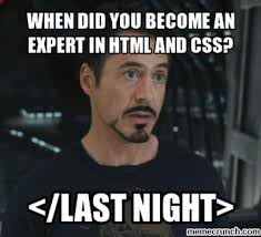 CSS专家模因
