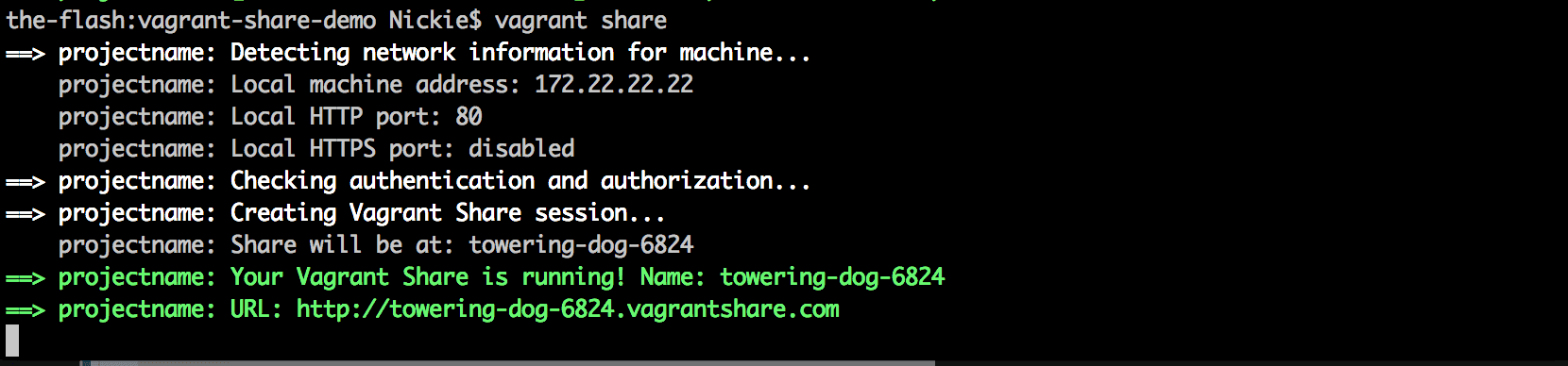 Vagrant Share