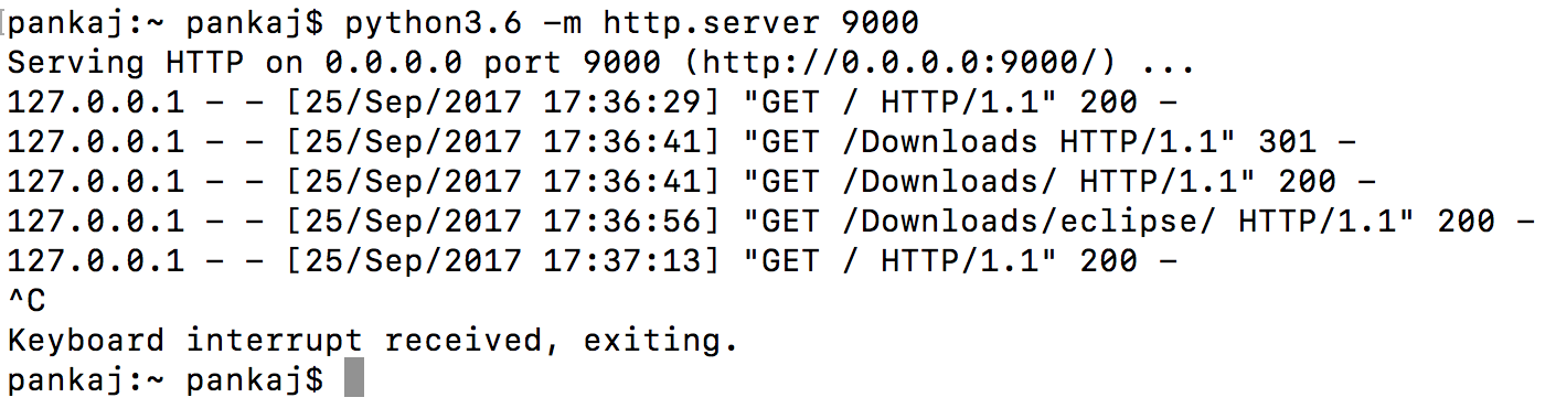 python http server example