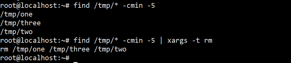 Xargs Example 4