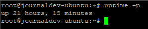 Uptime -p Command