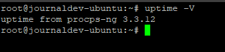 Linux Uptime -V Command