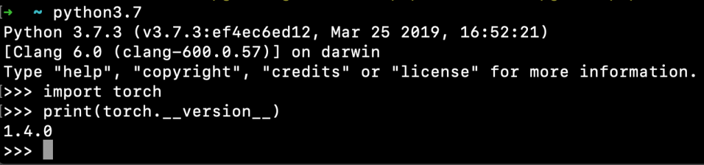 Python Print Torch Version