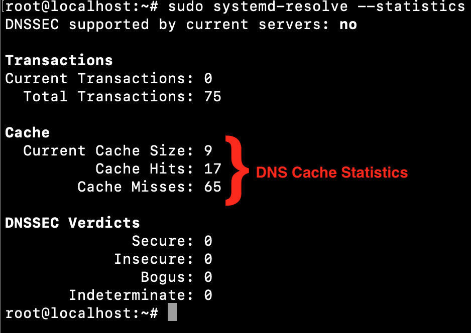 Ubuntu Dns Cache Statistics