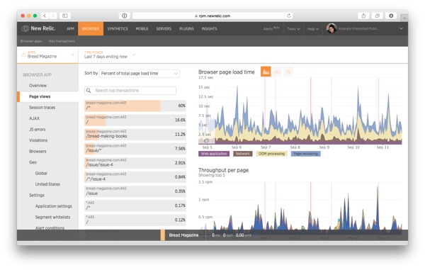 New Relic Browser中的“页面浏览量”页面