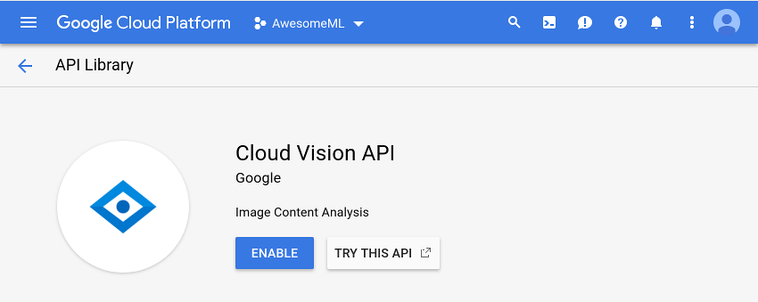 Cloud Vision API激活屏幕