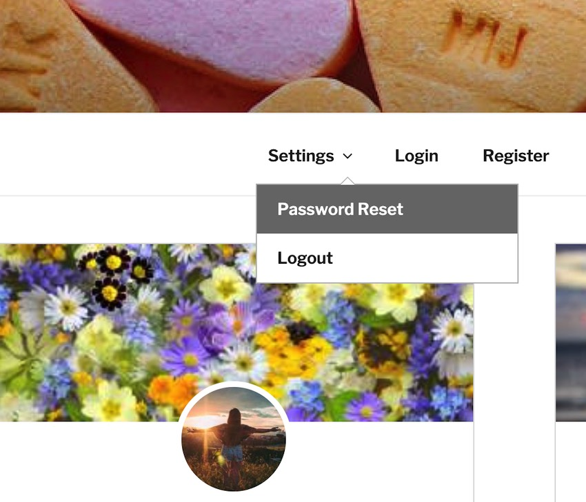 子菜单项在其父母下拉列表中显示