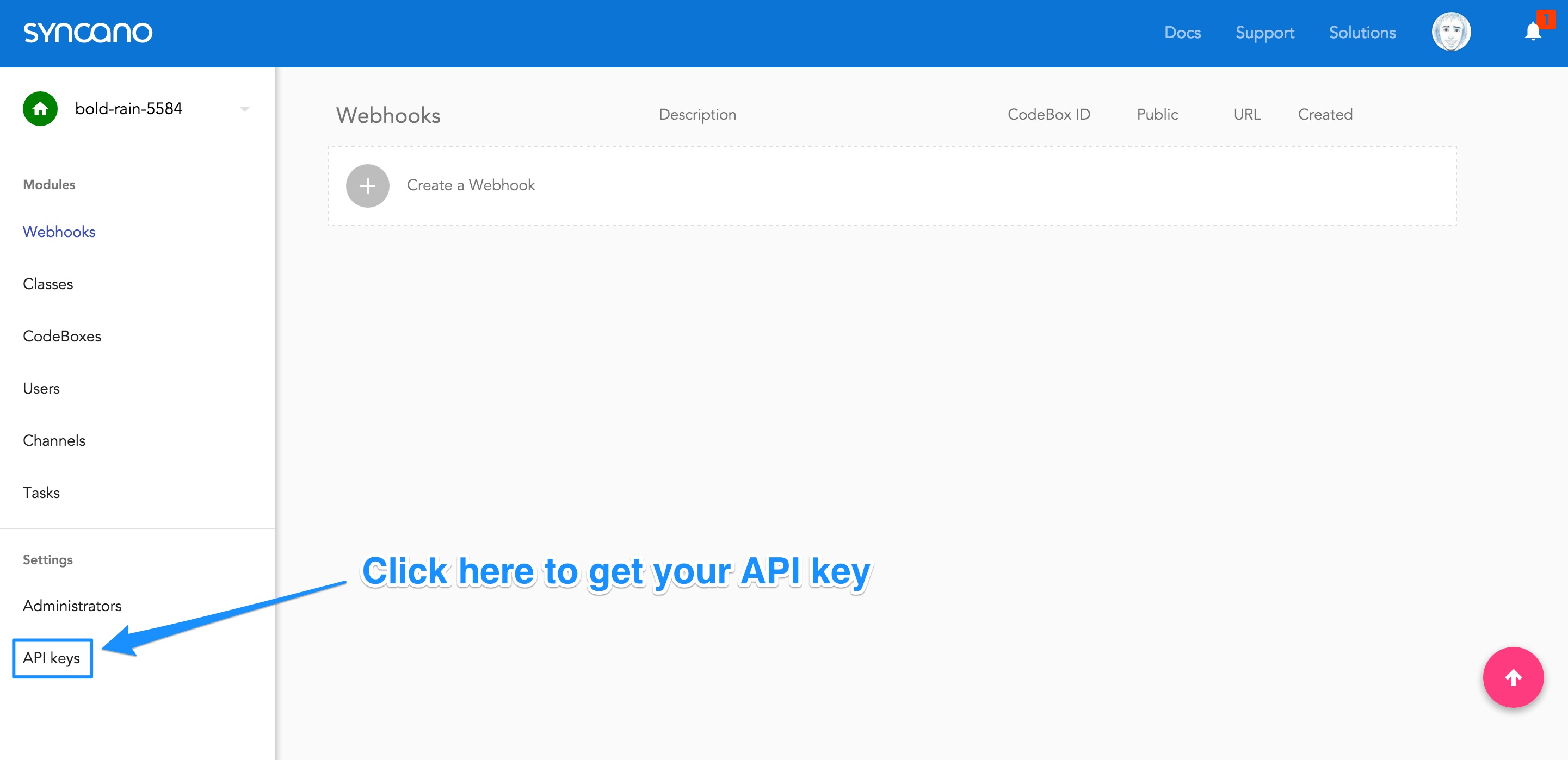 转到“获取API密钥”屏幕