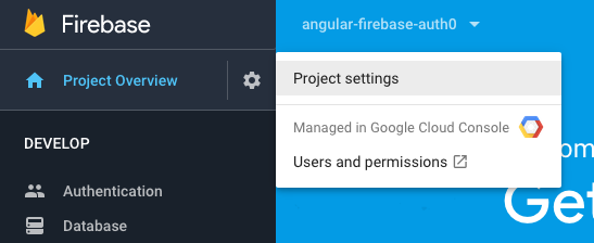 Firebase项目设置