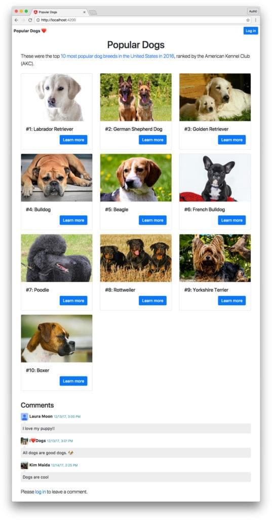 带有Auth0自定义令牌的Angular Firebase应用